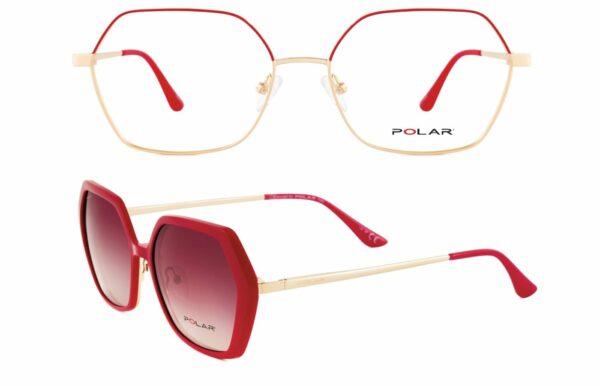 POLAR 519 GRADUADO - Imagen 2