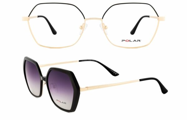 POLAR 519 GRADUADO