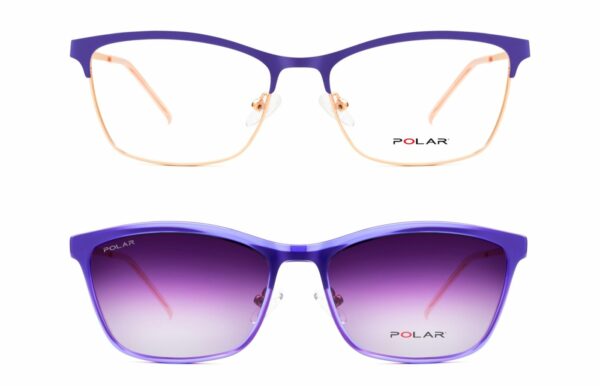 POLAR 540 GRADUADO