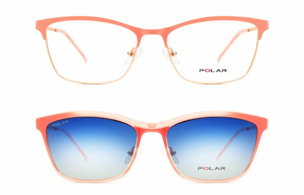 POLAR 540 GRADUADO - Imagen 2