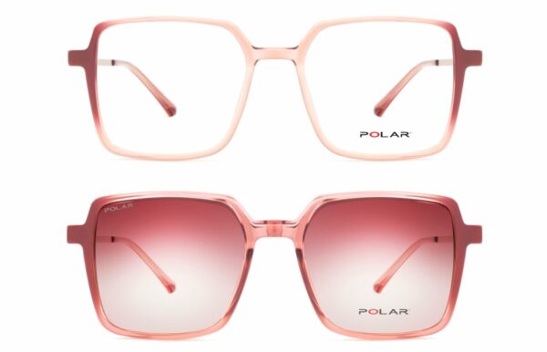 POLAR 541 GRADUADO