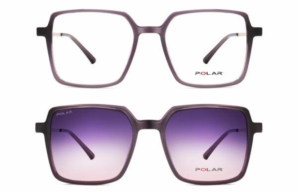 POLAR 541 GRADUADO - Imagen 2