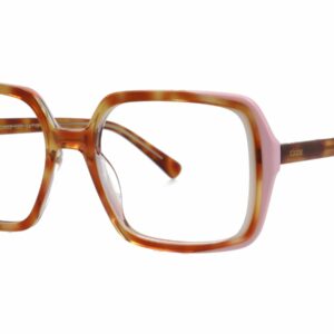 CIONE METAMORFOSIS02 GRADUADO